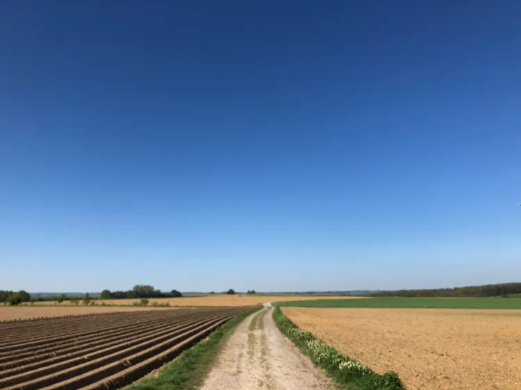 Simpelveld 131