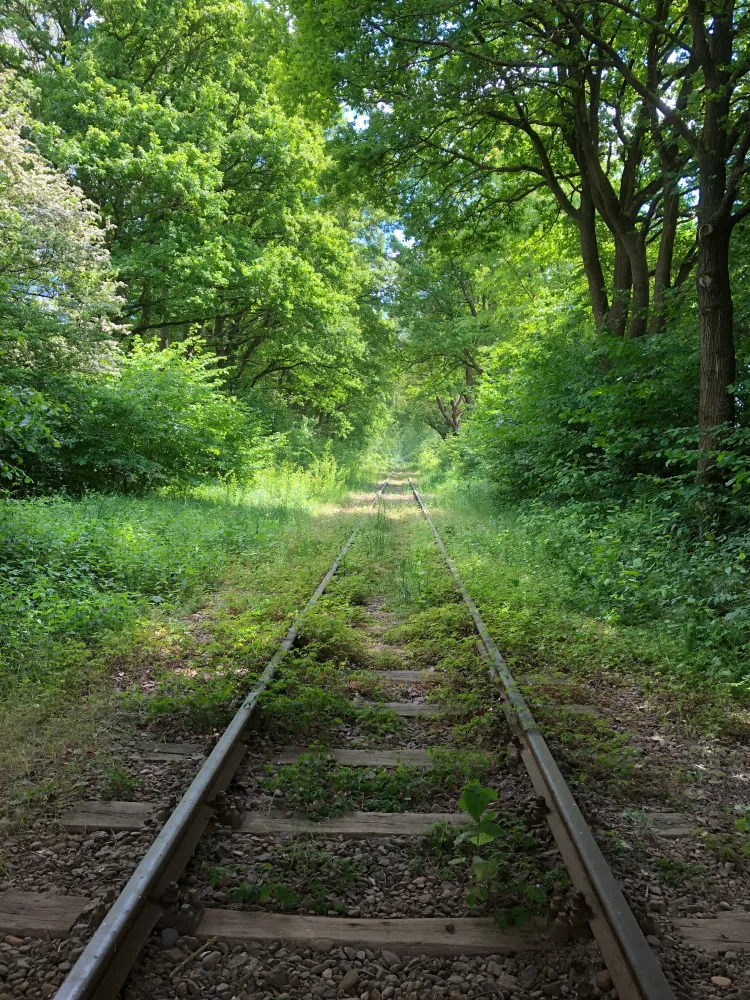Simpelveld 131